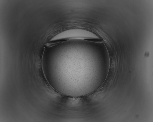 X0000089950469200707131519