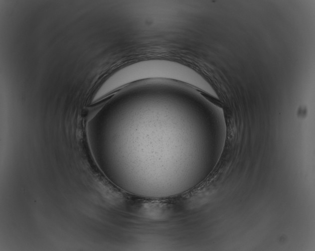 X0000089950470200707131519