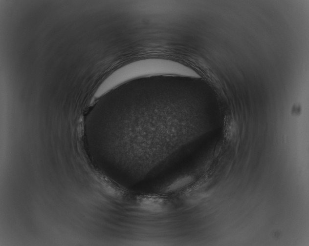 X0000089950471200707131520