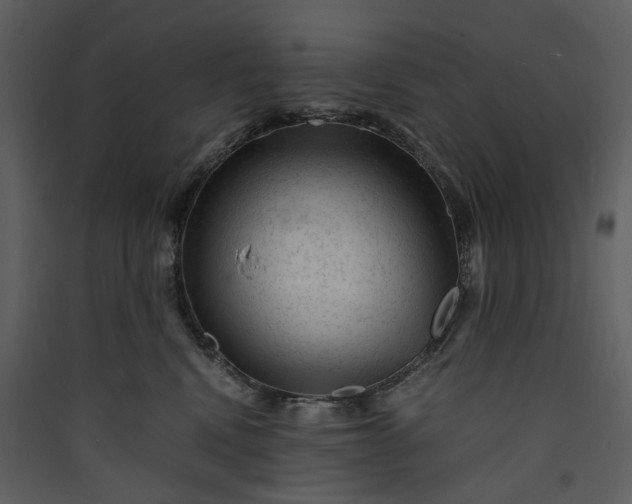 X0000089950472200707131520