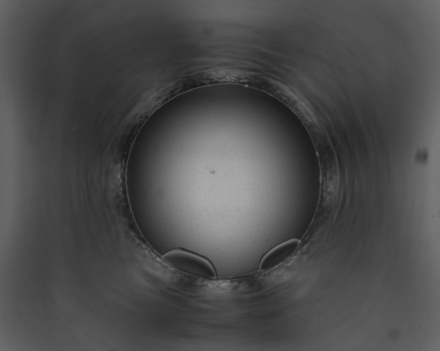X0000089950473200707131520
