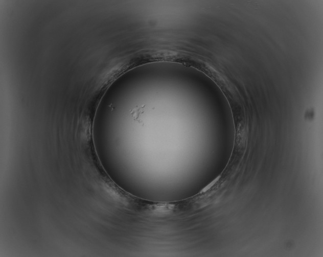 X0000089950474200707131520