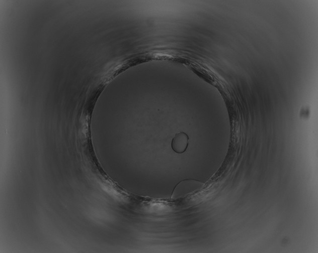 X0000089950475200707131520