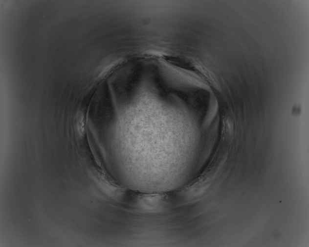X0000089950479200707131520