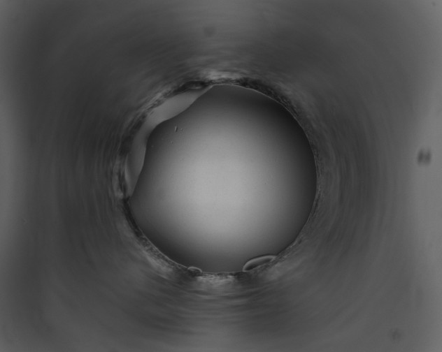X0000089950480200707131520
