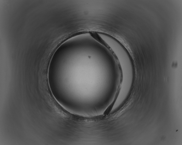 X0000089950481200707131519