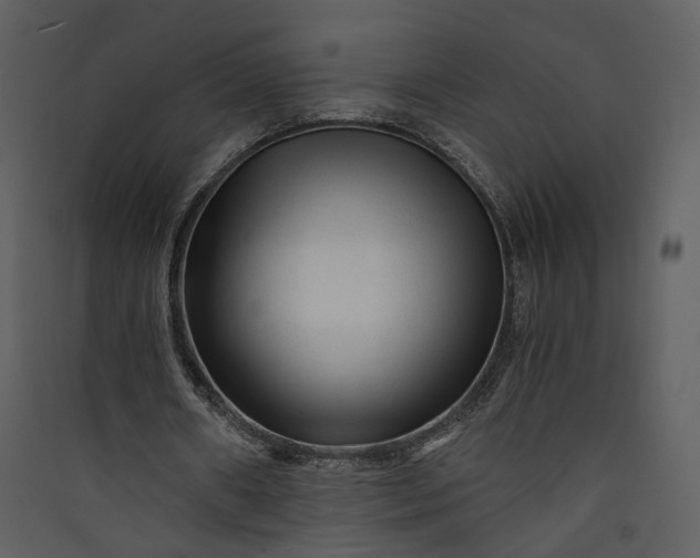 X0000089950482200707131519