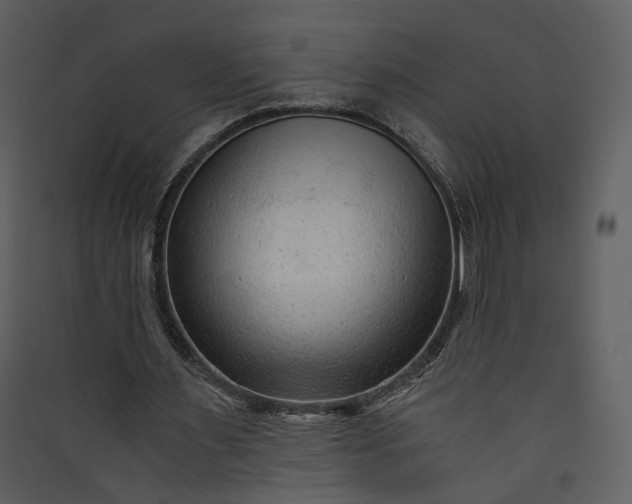 X0000089950483200707131519
