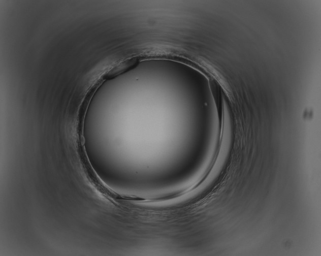 X0000089950485200707131519