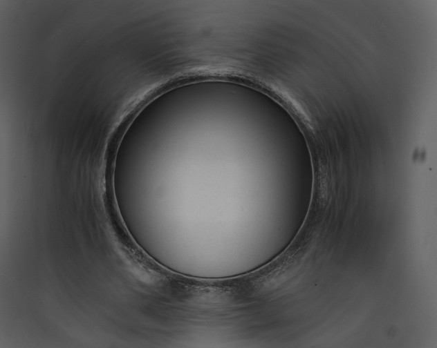 X0000089950486200707131519