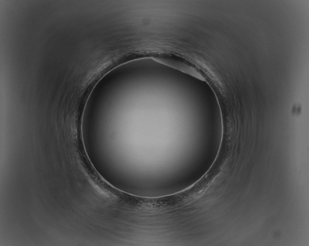 X0000089950489200707131519