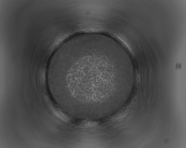 X0000089950491200707131519