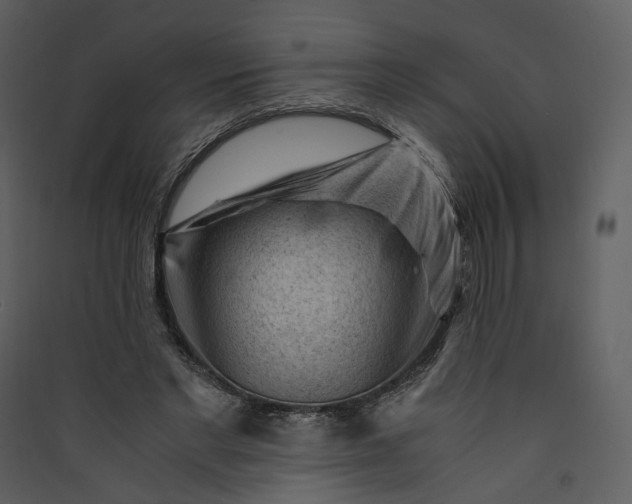 X0000089950493200707131519