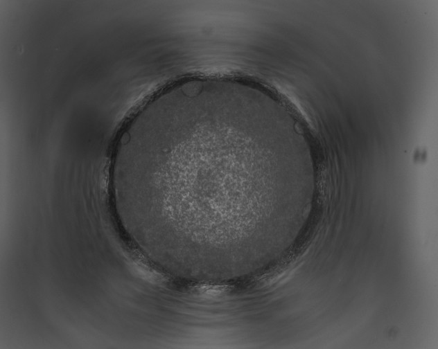 X0000089950495200707131519