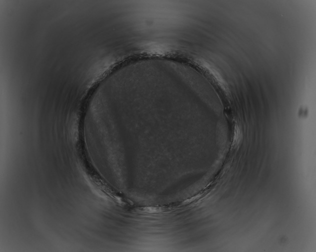 X0000089950496200707131519