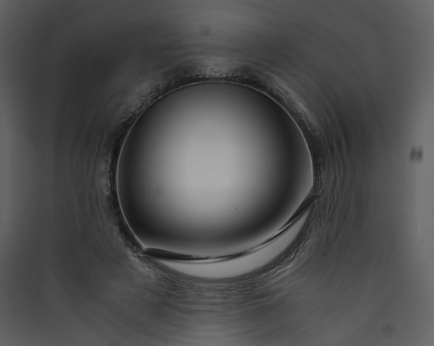 X0000089950497200707131519