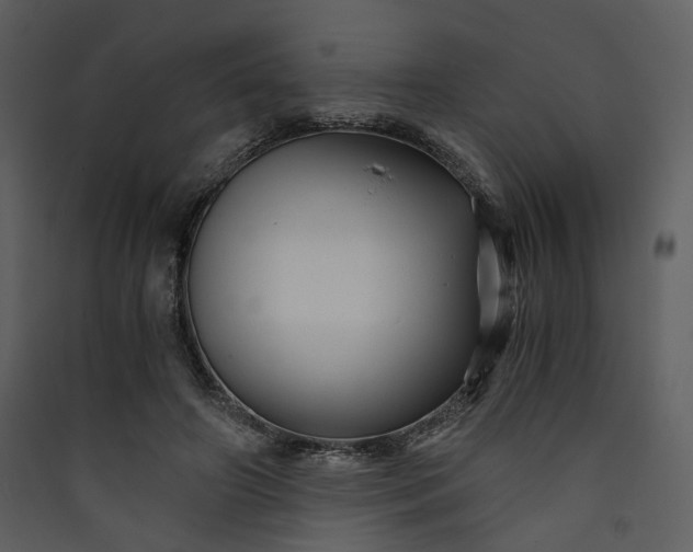 X0000089950498200707131519