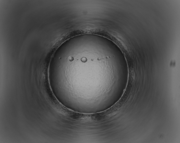 X0000089950499200707131519