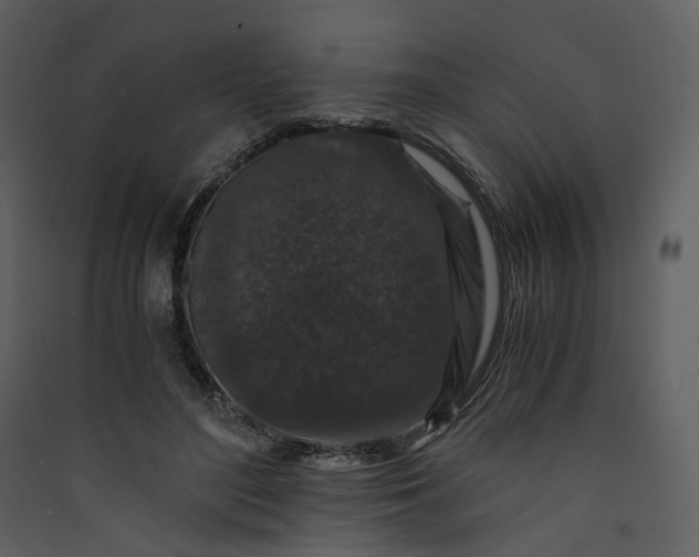 X0000089950500200707131519