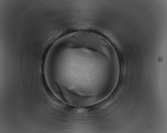 X0000089950501200707131519