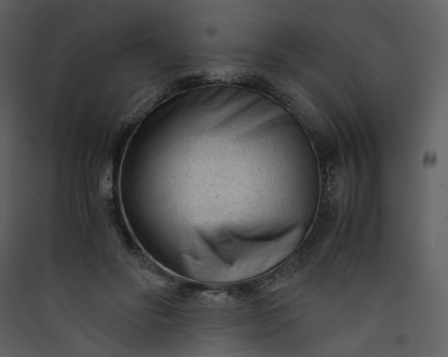 X0000089950502200707131519