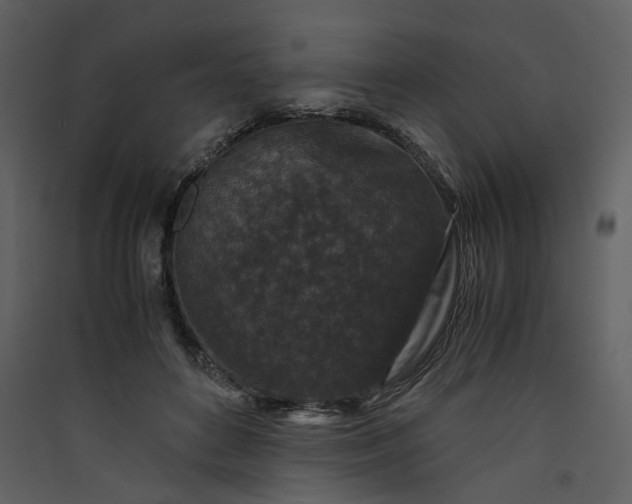 X0000089950504200707131519