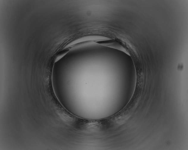 X0000089950505200707131519