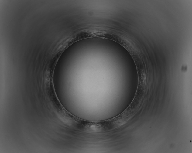 X0000089950506200707131519