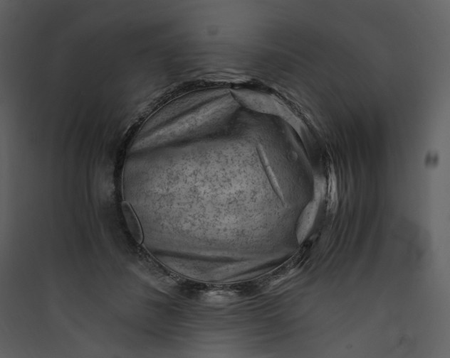 X0000089950508200707131518