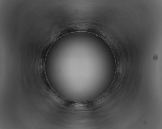 X0000089950518200707131518