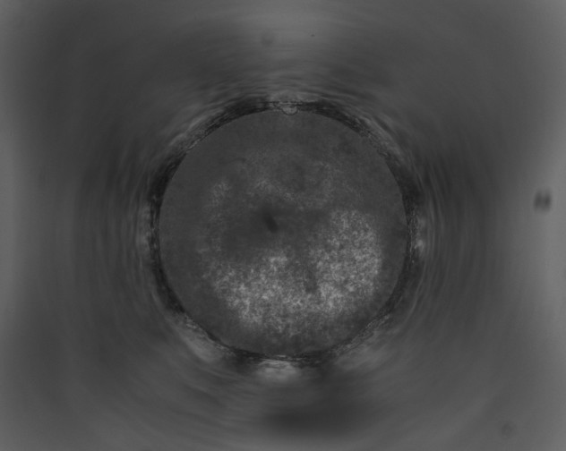 X0000089950519200707131518