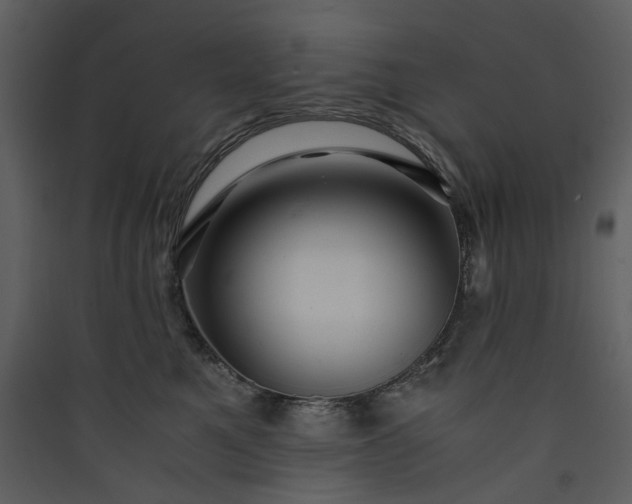 X0000089950521200707131518