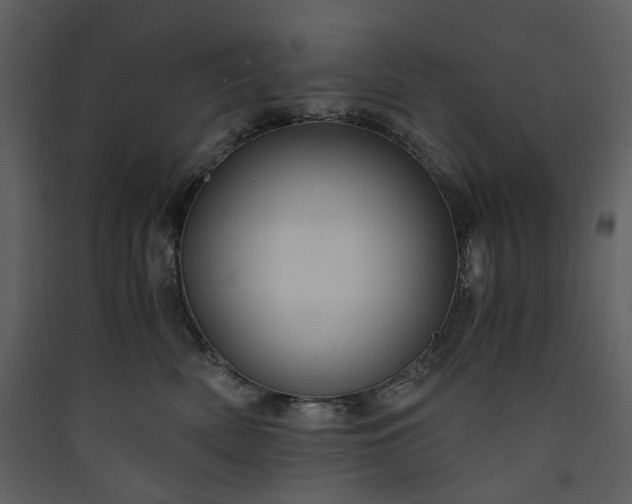 X0000089950522200707131518