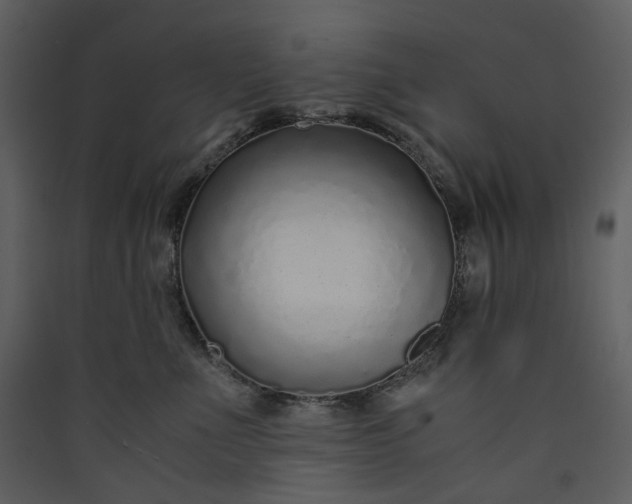 X0000089950523200707131518