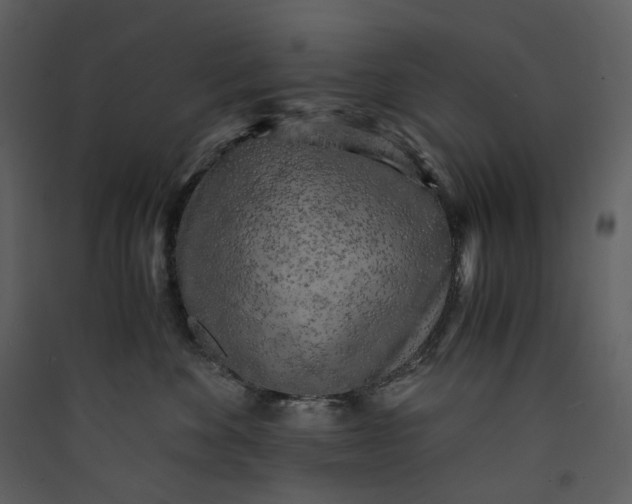 X0000089950524200707131518
