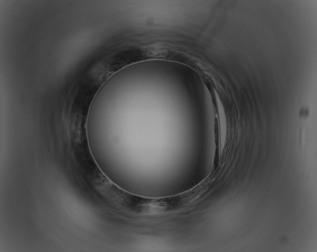 X0000089950525200707131518
