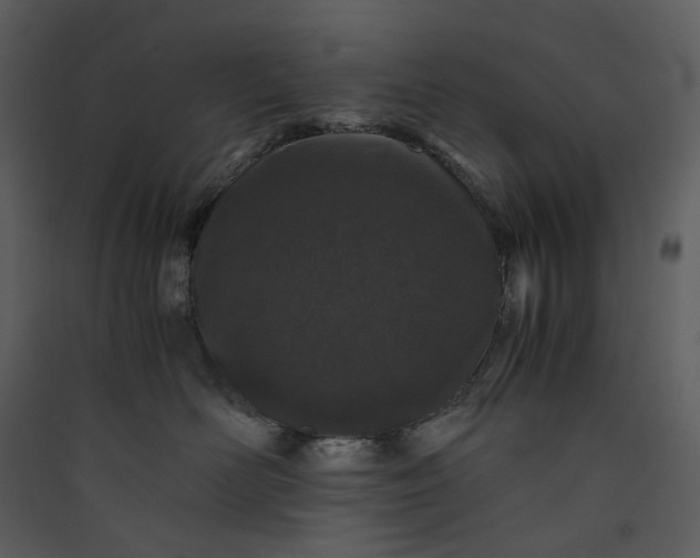 X0000089950526200707131518