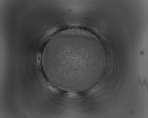 X0000089950528200707131518