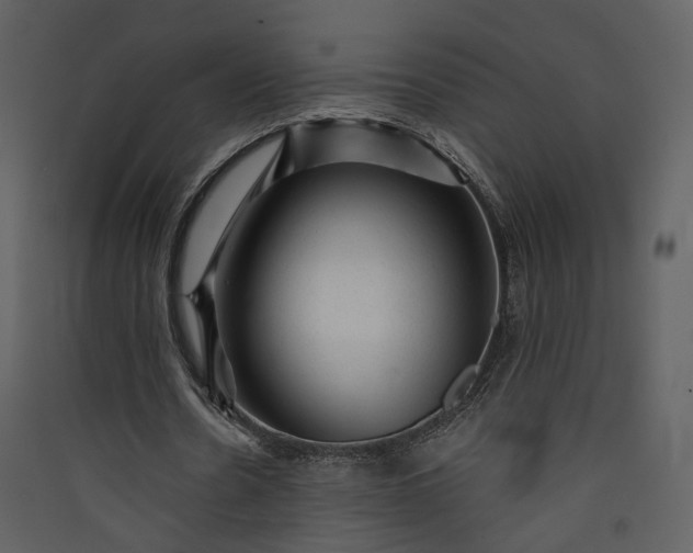 X0000089950530200707131517