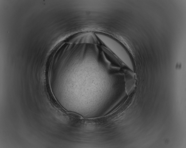 X0000089950531200707131517