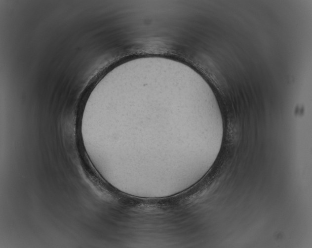 X0000089950534200707131518