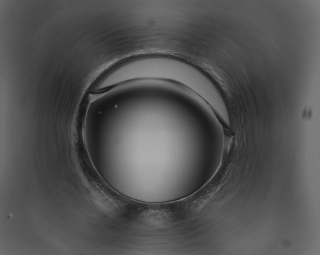 X0000089950536200707131518