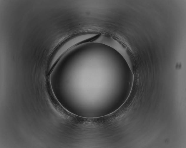 X0000089950538200707131518