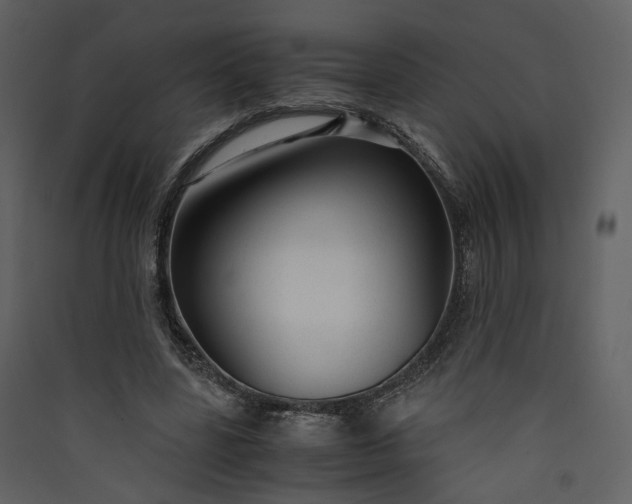 X0000089950539200707131518