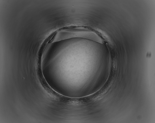 X0000089950540200707131518