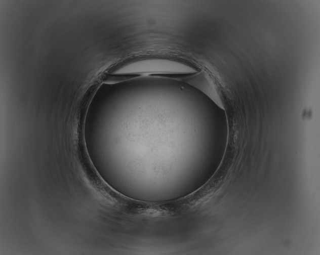 X0000089950542200707131518