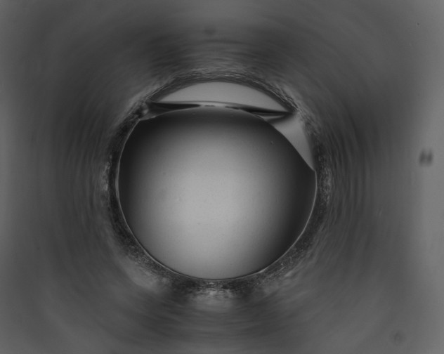 X0000089950543200707131518