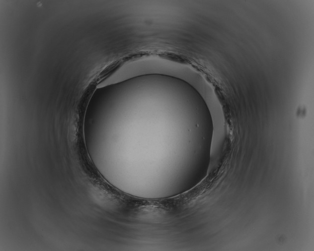 X0000089950544200707131518