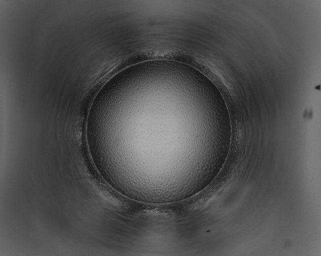X0000089950545200707131518
