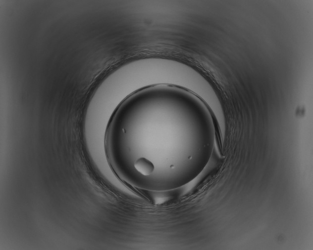 X0000089950546200707131518